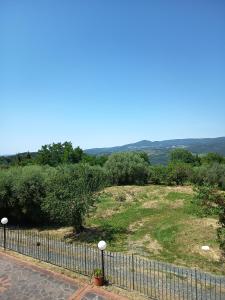 Appartamento i gatti