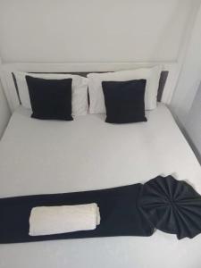 Stallion Suites