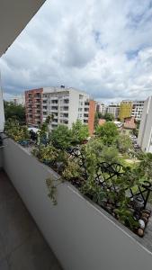 LUNI Apartman Vracar