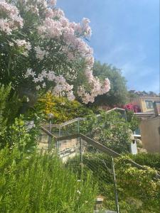 Casa Paradiso img29
