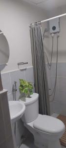 Studio Type Furnished Condo