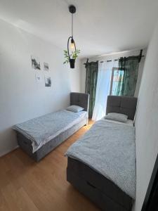 Apartmani Orsag