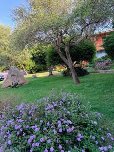 Suite Blue La Conia img26
