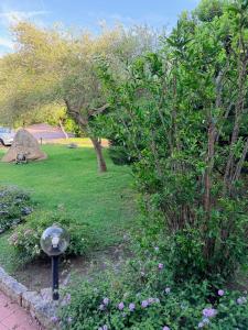 Suite Blue La Conia img27
