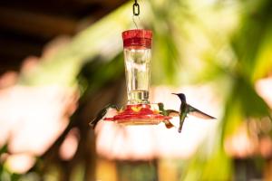 La Bicok EcoLodge