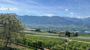 Casa Borghesi - Appartamenti vista lago e Dolomiti