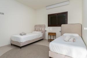 TEKCE Valley Collection P4 2E