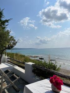 Luxury House by the Sea