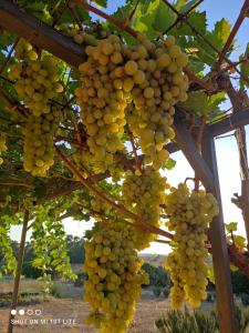 Appartamento a Feraxi img16