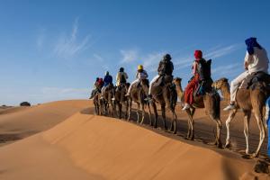 Roaming Desert Luxury Camp