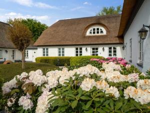 Holiday Home Jolanda by Interhome