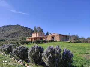 Appartamento a Feraxi