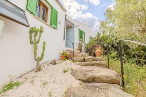 Rai's Panoramic View Apt 2 - Nature and Relax