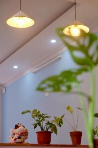 Ruhome - Homestay trung tâm Quy Nhơn gần biển