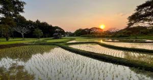 Baan Botanica - An Estate Beyond Imagination