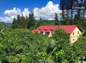 Guest House Green Space