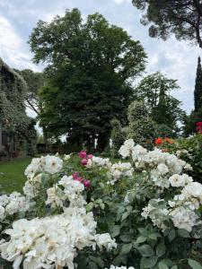 antica Villa con Giardino