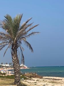 Luxury Hammamet