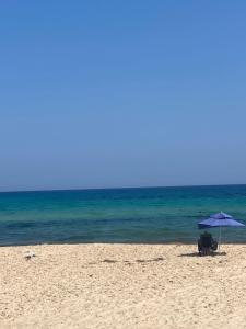 Luxury Hammamet