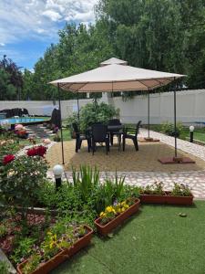 COLOSSEUM Zen GUEST HOUSE
