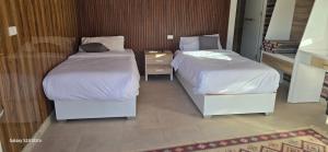 Desert Season Luxury Camp Wadi Rum Boutique Tents & Stargazing