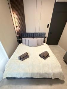 Cozy Studio K42