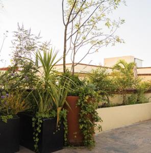 XTILU Hotel - Adults only -