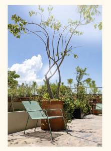 XTILU Hotel - Adults only -