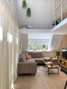 Wonderwild C79, Dog Friendly