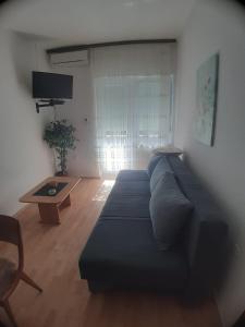 Apartment Irena