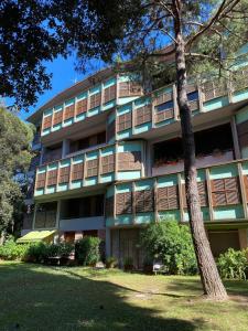 Appartamento in pineta vicino al mare - Oasi verde