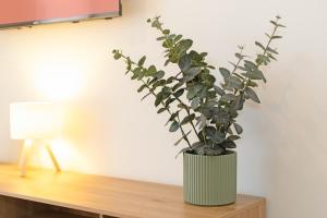 GuestReady - Modern flat 5 minutes from the beach