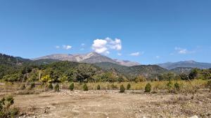 River side home stay