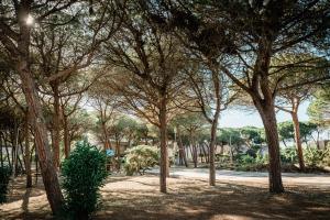 Le Dune Casa Vacanze Platamona Accesso Spiaggia & Parcheggio