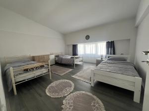 Villa Arslan
