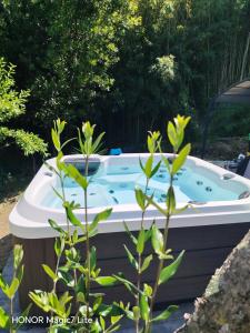 B&b Il Rustico