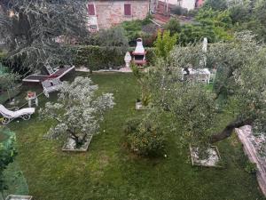 Lucciano Suite