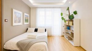 2BR APT with garage parking, walking to centre and stadiums