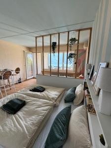 Ticino Lakeview Apartment