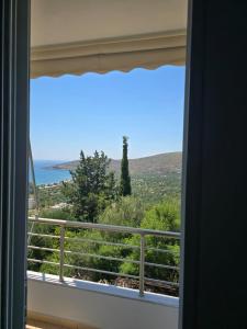 Mario Guest House