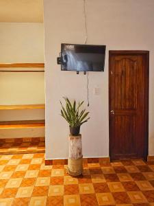 Casa Kali