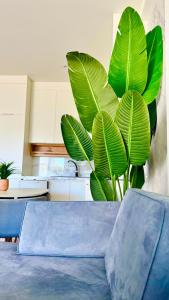 Premium apartment - parking, pool and beach access