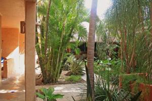 Beautiful DBL Bed Suite in the heart of PDC