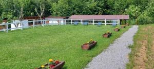Greengold