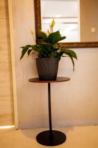 Dendo Apartment