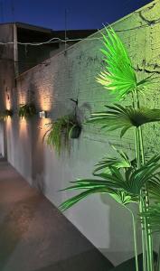 Casa Inteligente com Piscina Aquecida e Churrasqueira