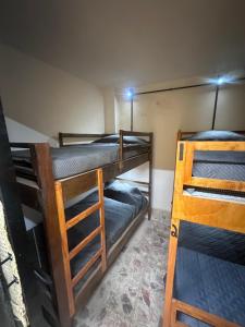 Secret Forest Hostal
