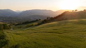 B&B La Tana