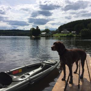 200 rang du Lac Lejeune - Chalet au bord du Lac