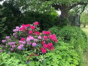 Ferienwohnung - Grillmöglichkeit - großer Garten - 2 WCs - Haustiere möglich
